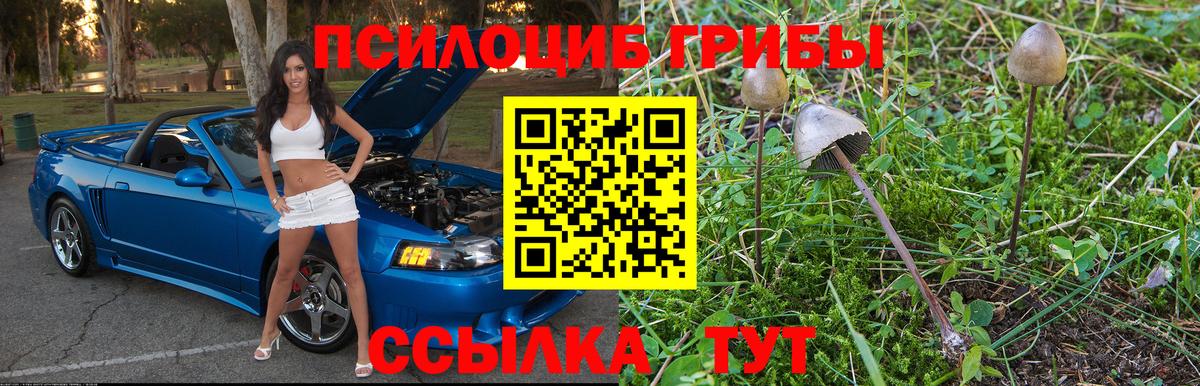 Псилоцибиновые грибы MAGIC MUSHROOMS Сертолово