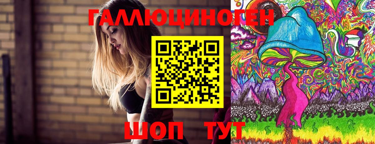 Сертолово  Псилоцибиновые грибы мухоморы  купить   Вход с VPN 